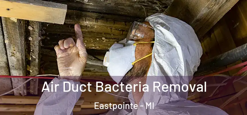  Air Duct Bacteria Removal Eastpointe - MI