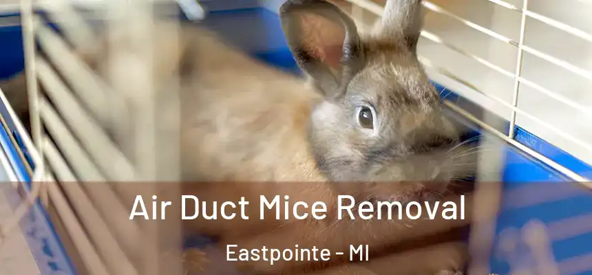Air Duct Mice Removal Eastpointe - MI