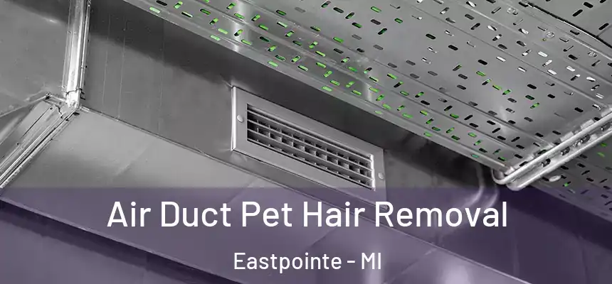  Air Duct Pet Hair Removal Eastpointe - MI
