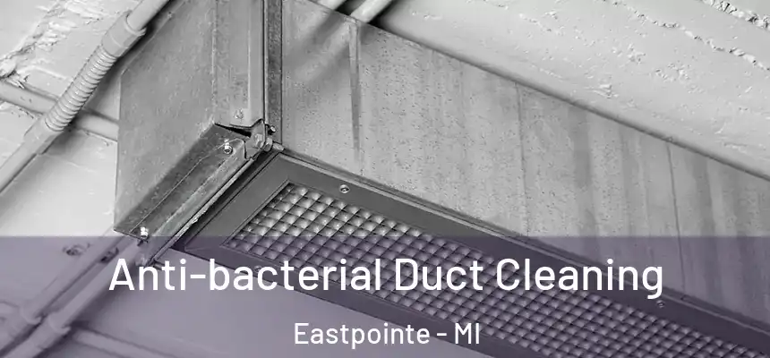 Anti-bacterial Duct Cleaning Eastpointe - MI