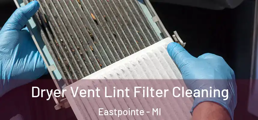  Dryer Vent Lint Filter Cleaning Eastpointe - MI