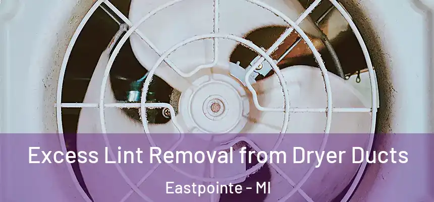  Excess Lint Removal from Dryer Ducts Eastpointe - MI