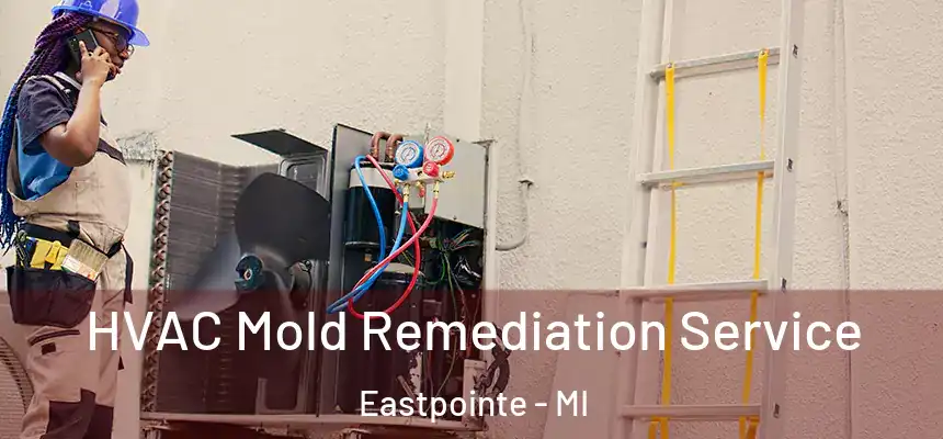  HVAC Mold Remediation Service Eastpointe - MI