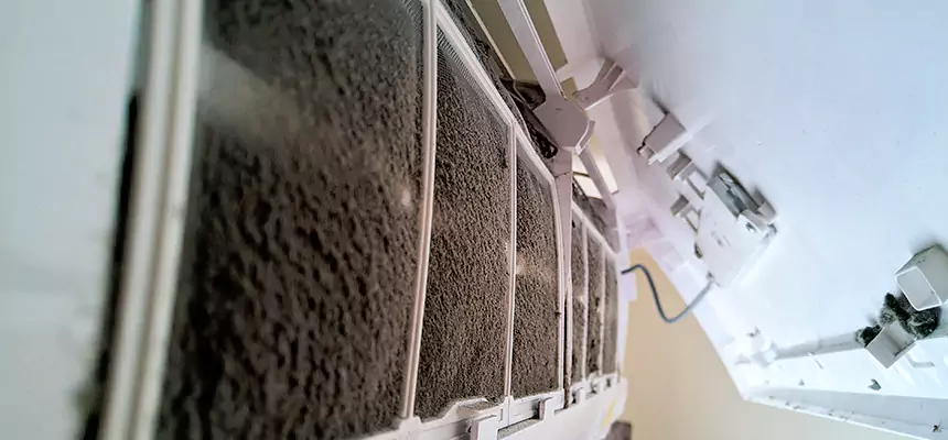 Preventive Air Duct Bacteria Removal in Eastpointe