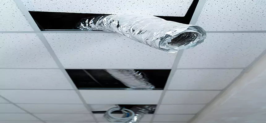 Our Air Duct Pet Hair Removal Services in Eastpointe, MI