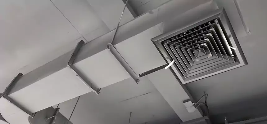 Restorative Allergy Relief Vent Cleaning – Coil, Blower & Housing Detail in Eastpointe