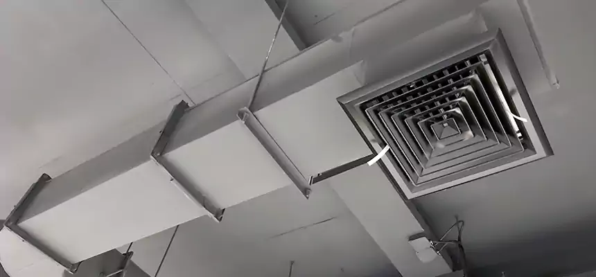 Our Pest Removal From Ducts Services in Eastpointe, MI