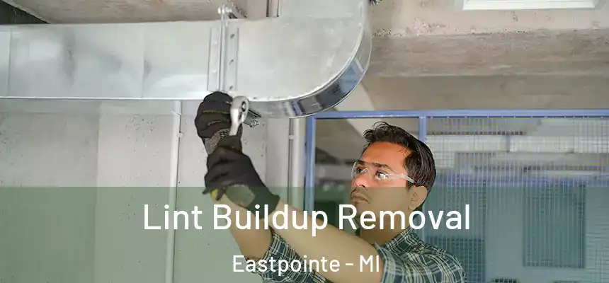  Lint Buildup Removal Eastpointe - MI