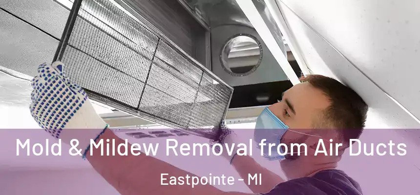  Mold & Mildew Removal from Air Ducts Eastpointe - MI