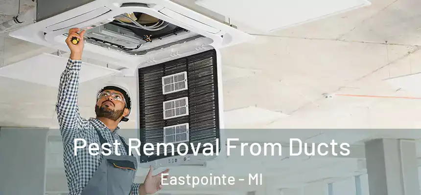 Pest Removal From Ducts Eastpointe - MI