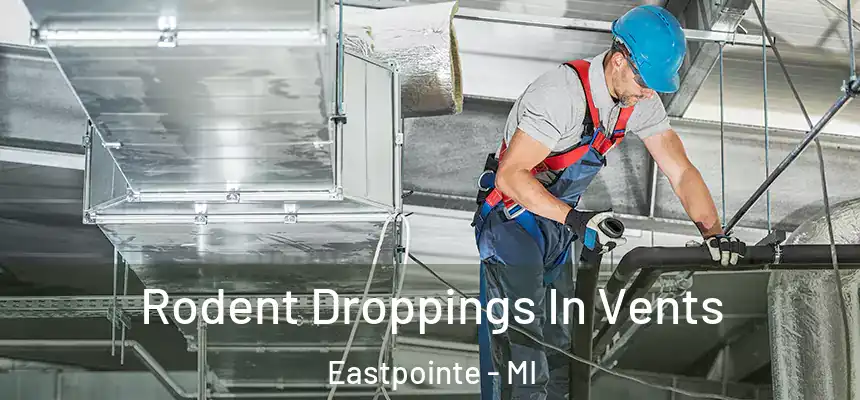  Rodent Droppings In Vents Eastpointe - MI