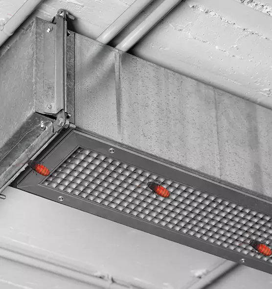 About Air Duct Cockroach Removal in Eastpointe, MI