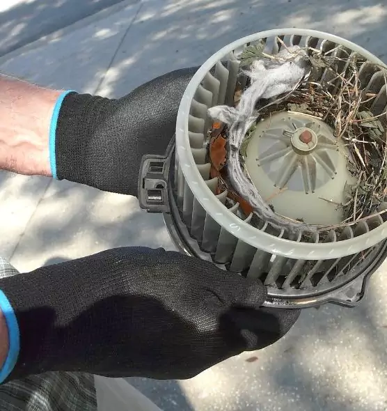 About Air Duct Mice Removal in Eastpointe, MI