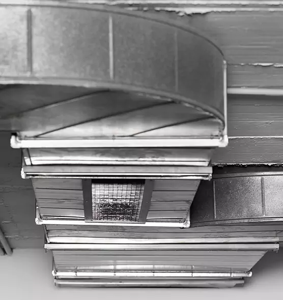 Professional Air Duct Pest Removal in Eastpointe, MI