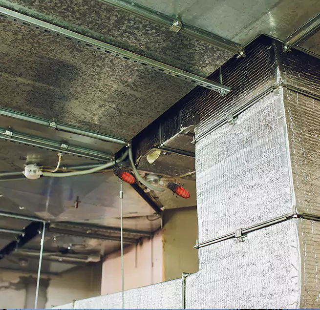 Why Homeowners & Businesses Trust Us in Eastpointe, MI?