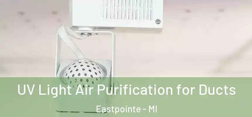  UV Light Air Purification for Ducts Eastpointe - MI